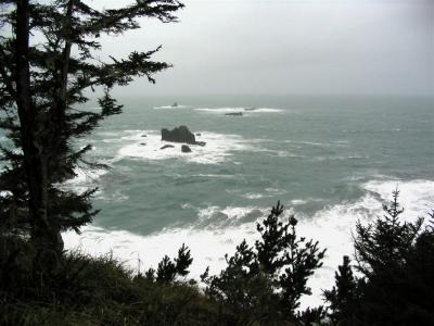 g3/83/635583/3/57845743.OrCoast2.jpg