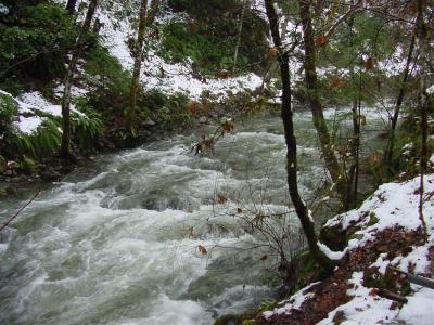 Little Grider creek