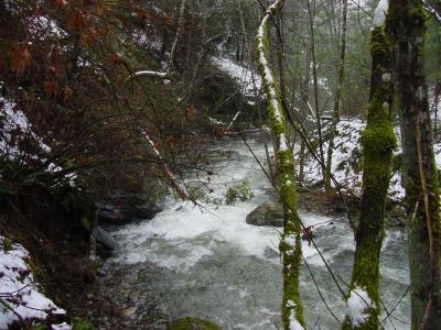 Little Grider Creek