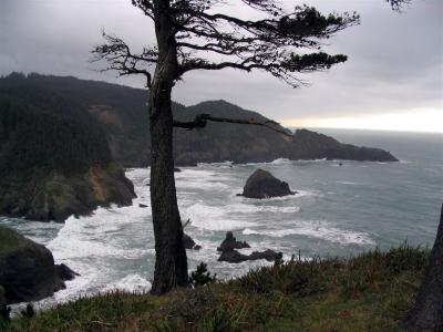 Brookings coast view south