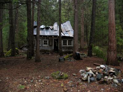 The Cedars cabin, falling back into the forest.