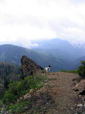 The PCT below Grizzly Peak on Section O