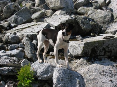 Kelly on the Rocks