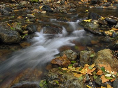 small waterfall in fall
