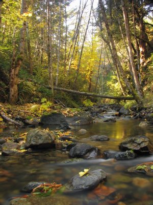 Fall colors on Little Grider