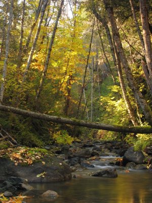 Fall colors on Little Grider