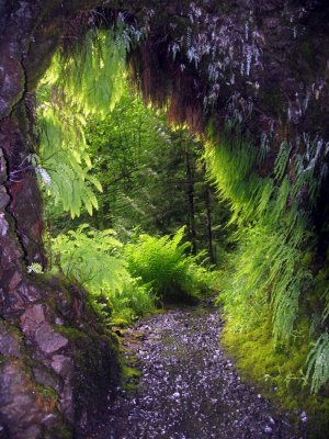 Tunnel Falls Tunnel