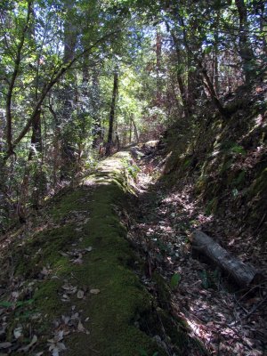 Old mining water ditch and my secret trail