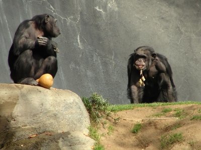 Los Angeles County Zoo