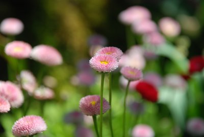 DSC_0189.JPG