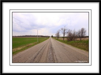 _MG_2699.jpg