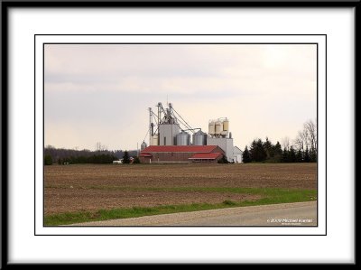 _MG_2750strcrop.jpg