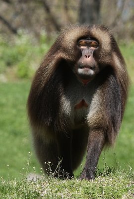 IMG_5131