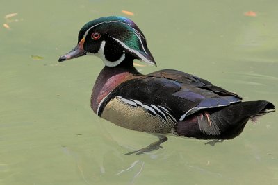 IMG_6091