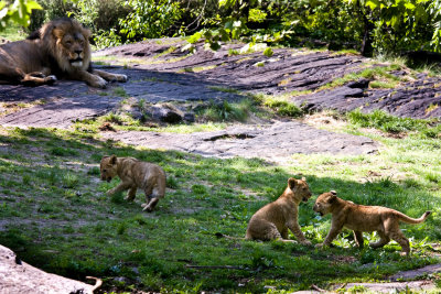 Zoo 5-2-10_0139