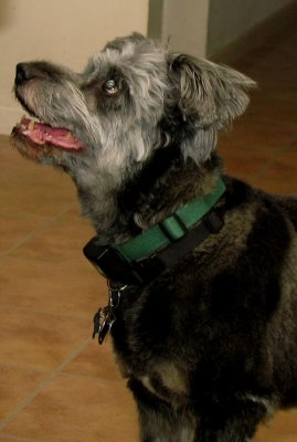 Jesse 031808 3