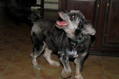 Jesse 031808 5