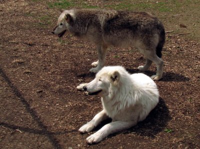 Apache & Kaila 04-12-08 30