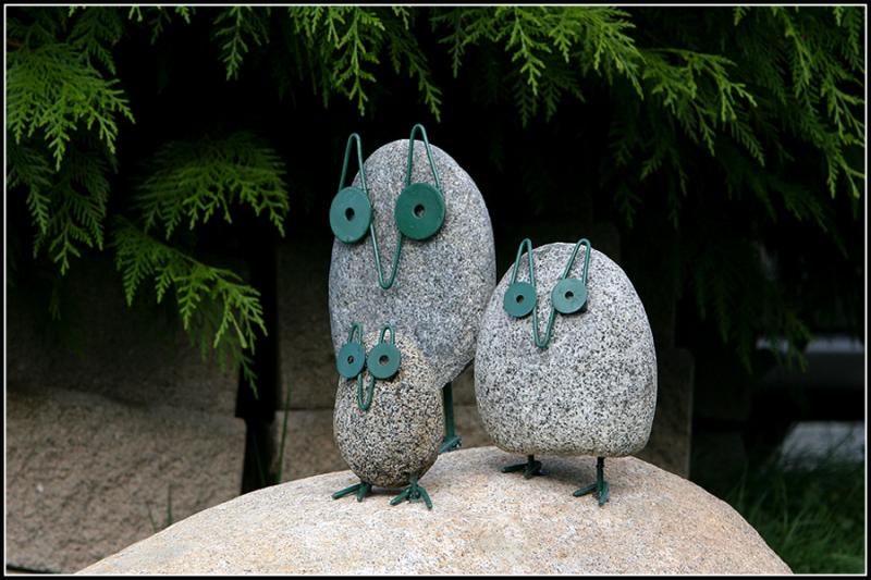 Neilson Owls