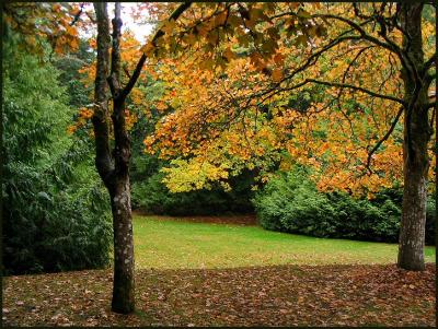 Fall at the Pacific Centre