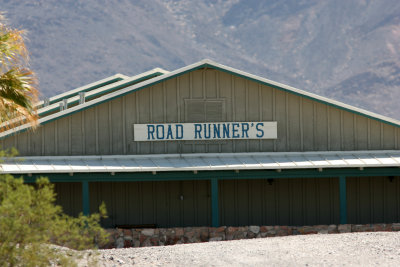 Death Valley 070917 as close to a Roadrunner that I came.jpg