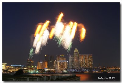 NDP Preview 181 copy.jpg