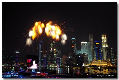 NDP 2008 201.jpg