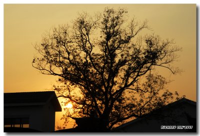 DSC_1028.jpg