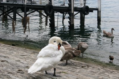 IMG_8727r.jpg