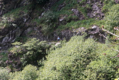 IMG_8761r.jpg