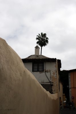 IMG_8347.jpg