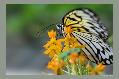 DSC_7966_FR_.jpg