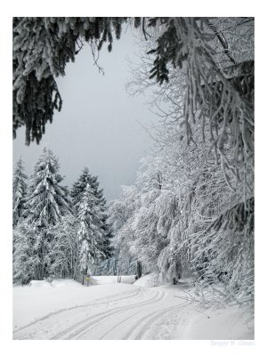 IMG_0123_FR_.jpg