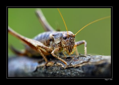 DSC_8203_FR_.jpg