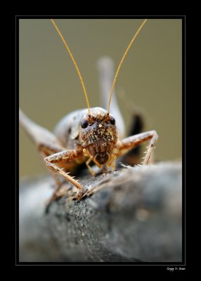 DSC_8212_FR_.jpg
