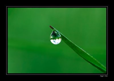 Closeups - Gallery 2