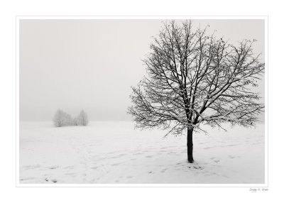 DSC_8245_FR_.jpg