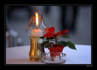 DSC_0028_FR_.jpg