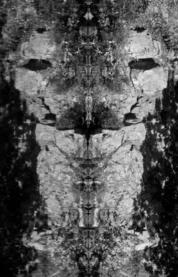OnTopic: Rock_face