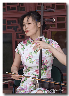 Violon au jardin chinois / Chinese violin player
