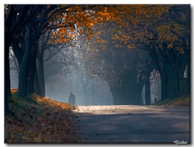 Marcheur dans la brume matinale / Walking in the early morning mist