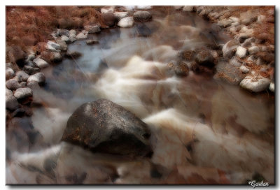 6-Reflet d'automne dans un ruisseau.jpg