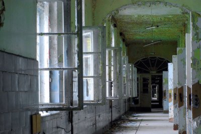 doors and windows