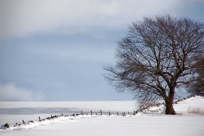 1st March 2010 <br> lighter days