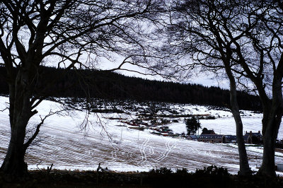 7th March 2010  snow is going