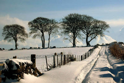 3rd March 2006 silent white blanket