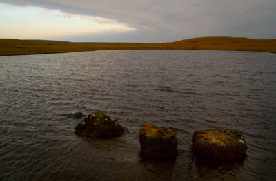 DSC_0208 copy.jpg