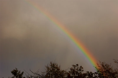 14th November 2007 <br> rainbows galore