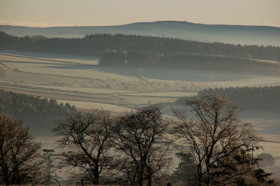 17th December 2007 <br> frosty