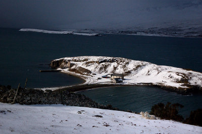 DSC_0047 copy.jpg
